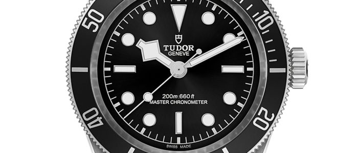 Tudor: Elegancia y Poder en la Moda Renacentista – Estilo Histórico y Retratos Realistas