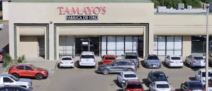 Tamayos: La Fábrica de Oro que Transforma Minerales en Lingotes Brillantes