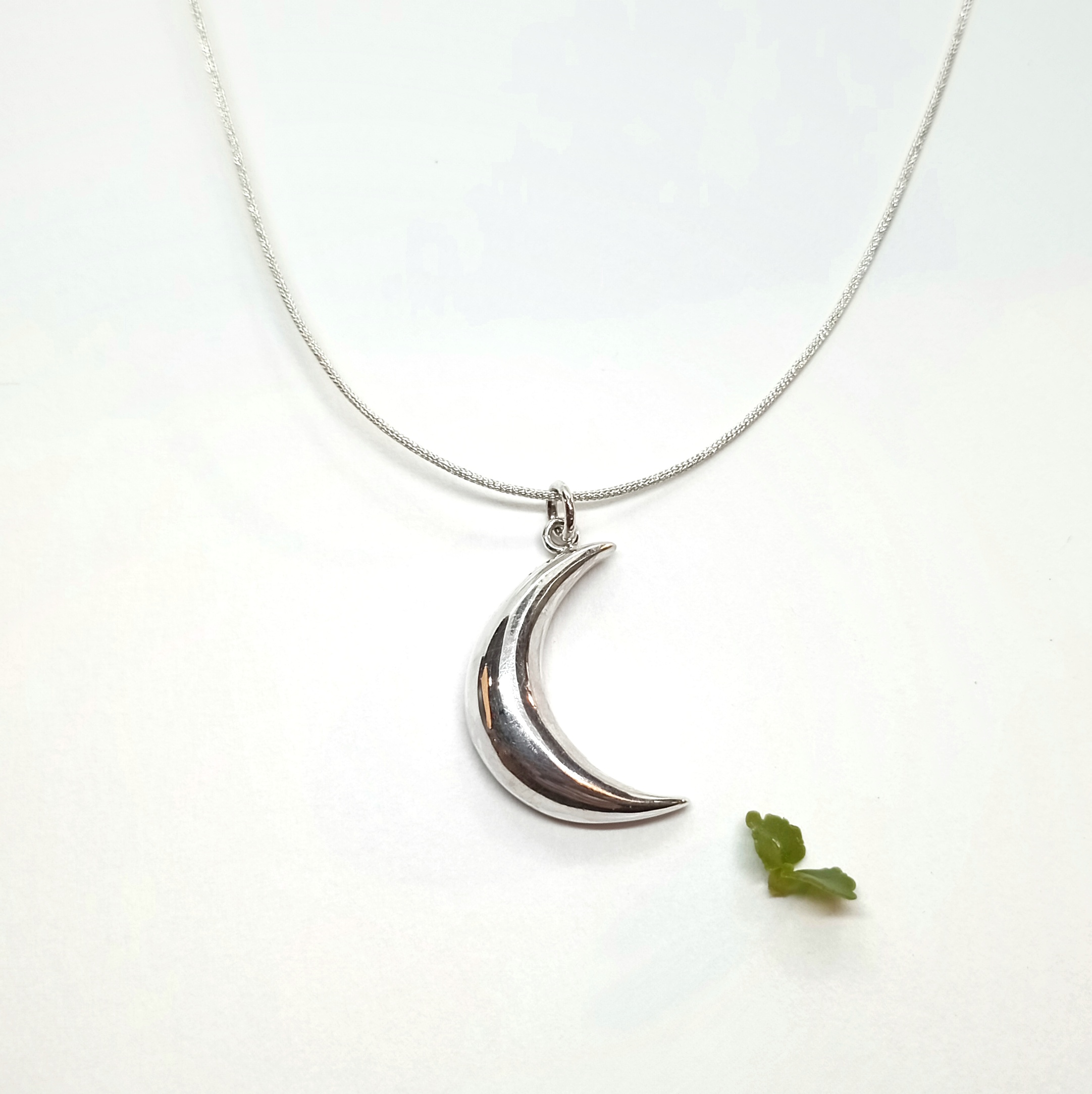 Luna de Plata: Joyas de Plata Elegantes y Modernas – Diseño Único
